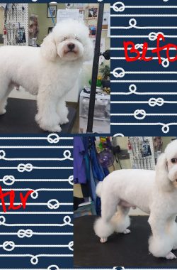 before-after5