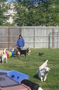 daycare